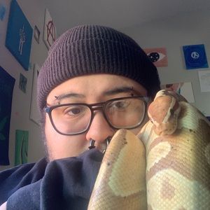 Meet Kade🐍